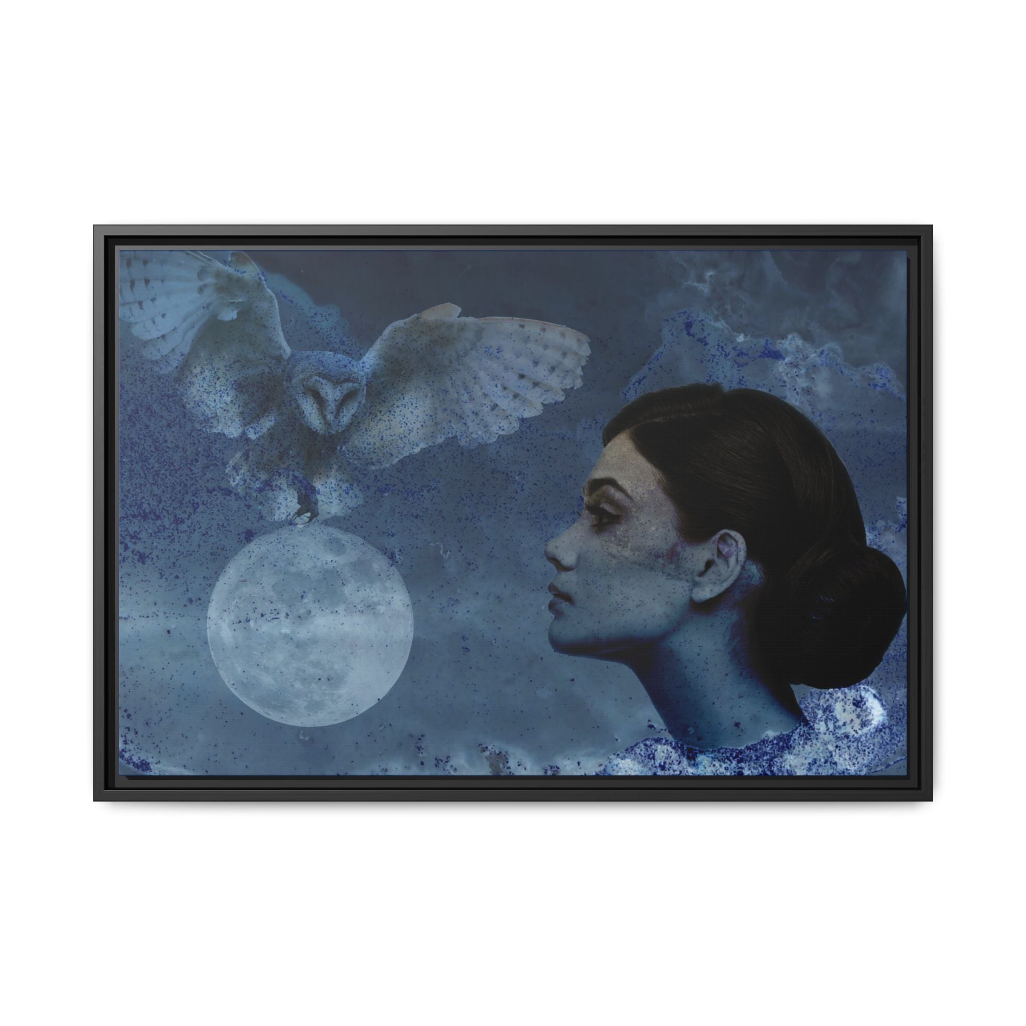 Moon Owl Matte Canvas (Framed)
