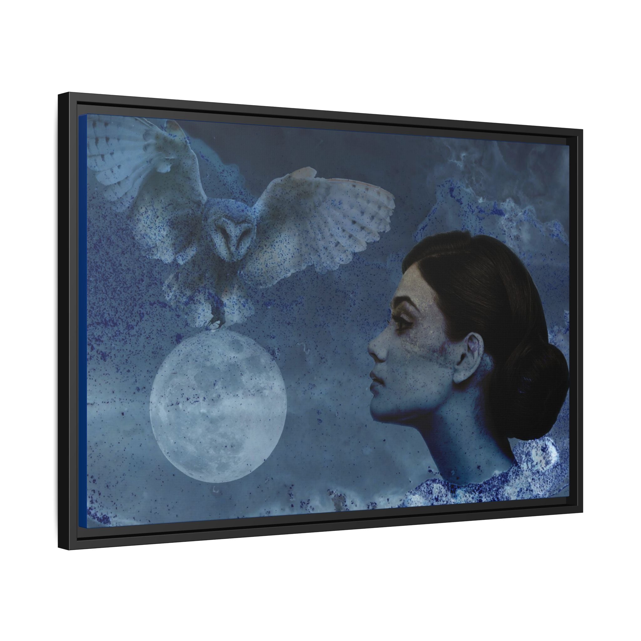 Moon Owl Matte Canvas (Framed)