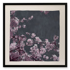 Dusky Rose Framed Silk Scarf