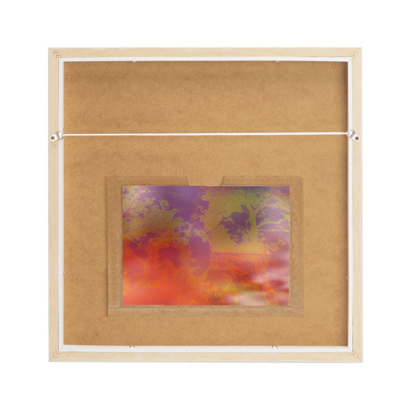 Neon Shade Framed Silk Scarf