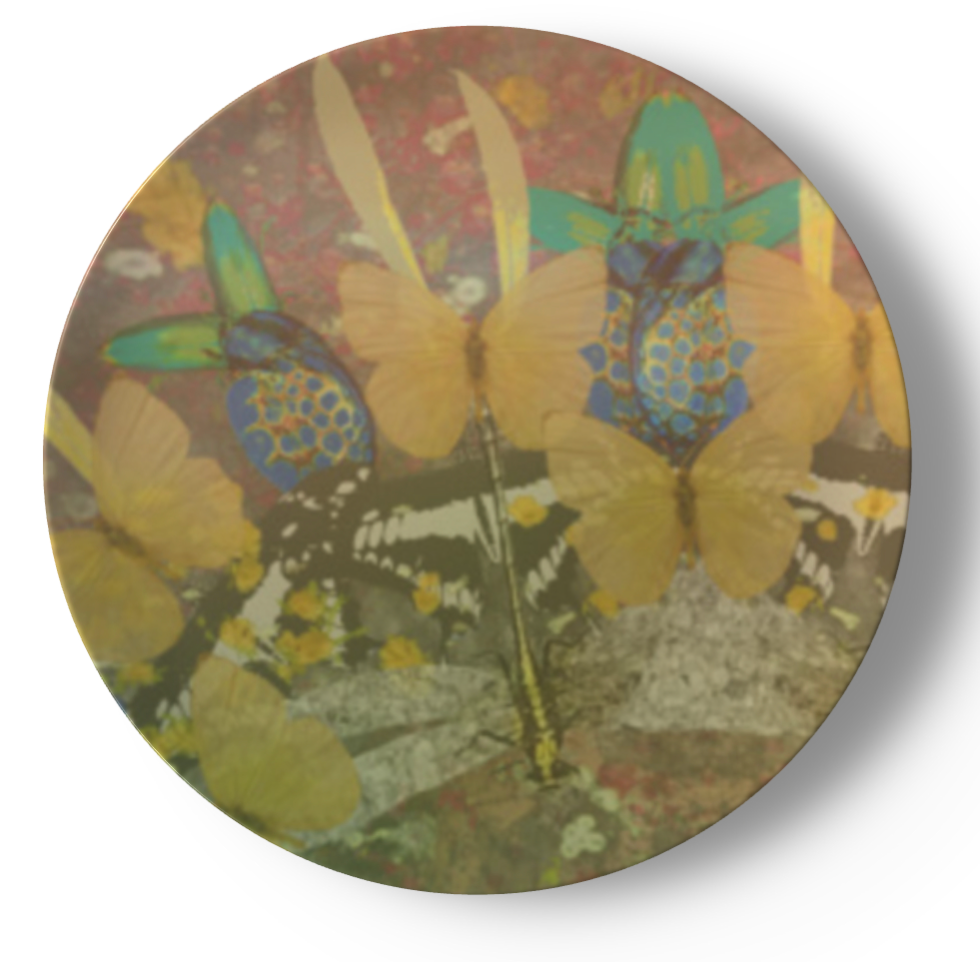 Wonderland China Plates