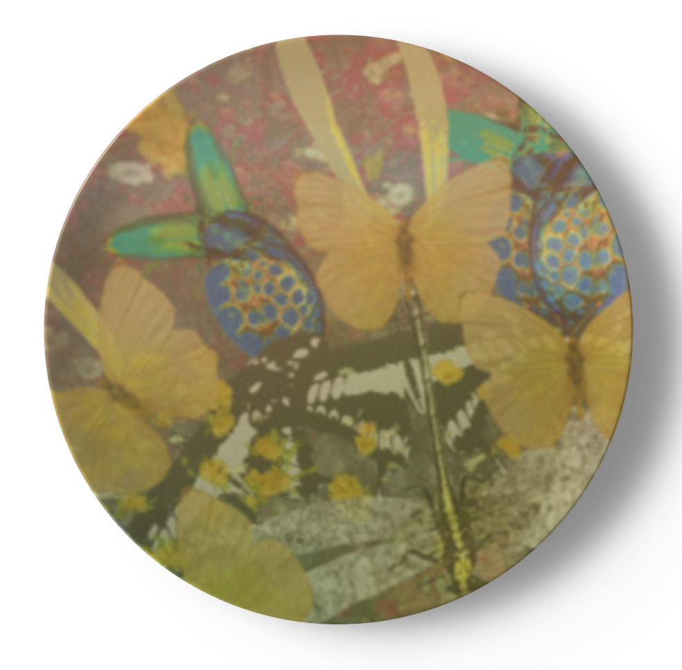 Wonderland China Plates