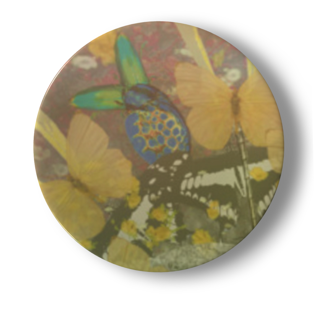 Wonderland China Plates