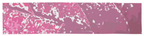 Pink Leaf Scarf Wrap or Shawl