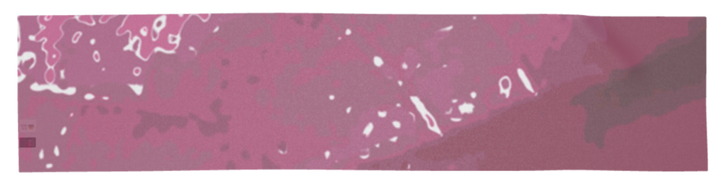 Pink Leaf Scarf Wrap or Shawl
