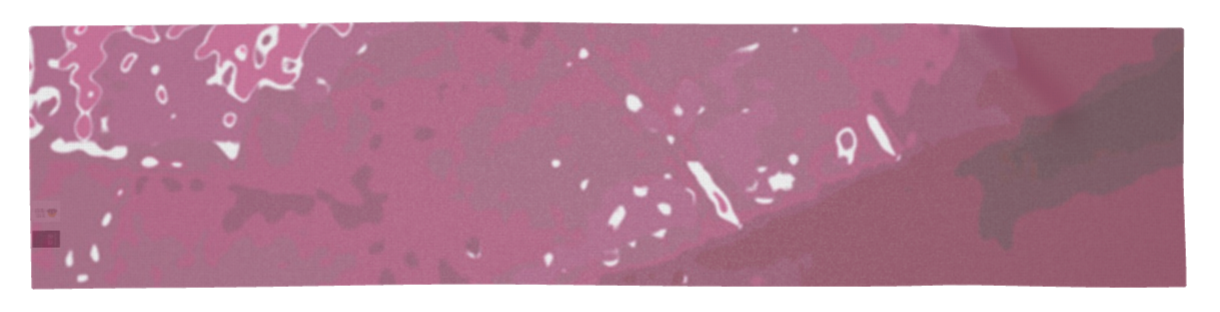 Pink Leaf Scarf Wrap or Shawl