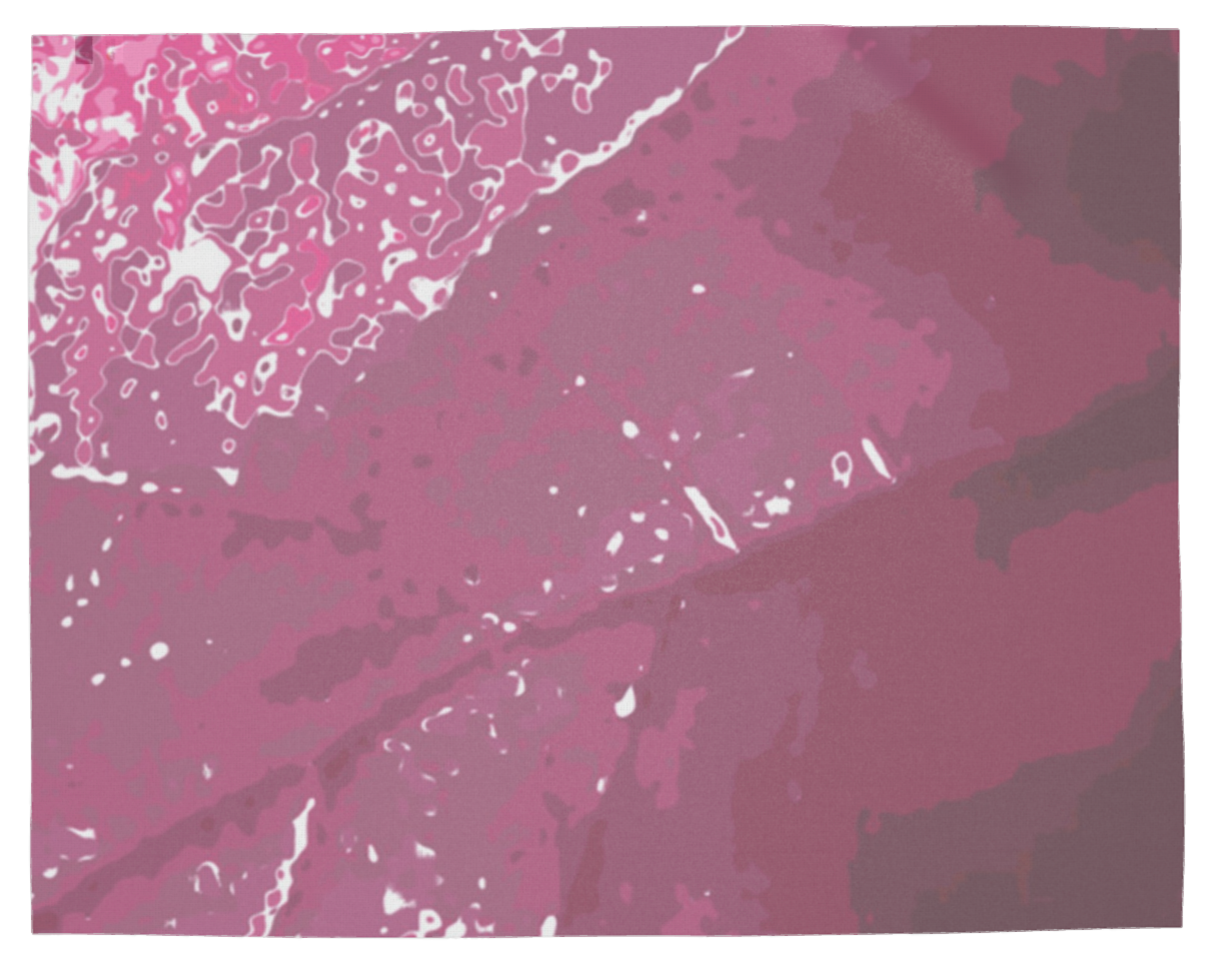 Pink Leaf Scarf Wrap or Shawl