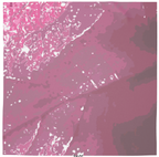 Pink Leaf Scarf Wrap or Shawl