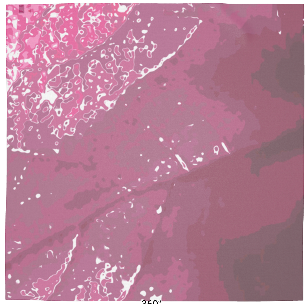 Pink Leaf Scarf Wrap or Shawl