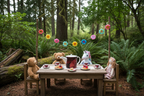 Bliss Blossom Bone China Teapot Oregon Outdoor Child's Tea Party Mockup
