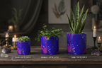 Electric Blue Leaf Plant Pot – Corrected 3 Sizes Labeled
