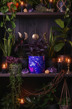 Electric Blue Leaf Plant Pot – Witchy Boho Plant Display