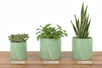Green Leaf Plant Pot – All 3 Sizes Labeled