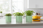 Green Leaf Plant Pot – Concrete Countertop Yellow Le Creuset