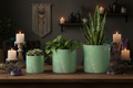 Green Leaf Plant Pot – Witchy Boho Proportional Sizes