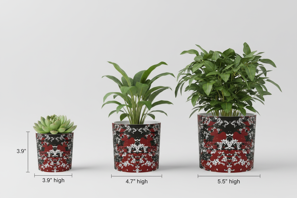 Mad Blossom Plant Pot Three Distinct Sizes with Plants Studio Mockup