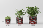 Mad Blossom Plant Pot Three Distinct Sizes with Plants Studio Mockup