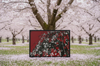Mad Blossoms Canvas - Cherry Blossom Orchard Exact Painting