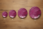 Pink Leaf all 4 plates accurate sizes overhead wood table flat lay