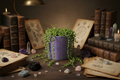 Purple Leaf Plant Pot with Books and Crystals